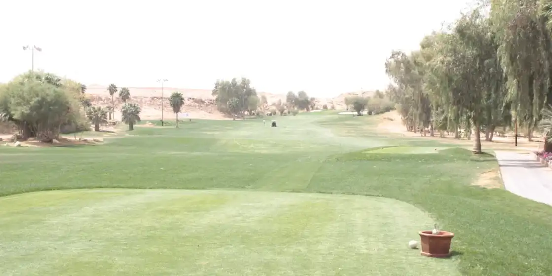Tee box and palm-lined fairway below a desert escarpment at Dirab Golf & Country Club