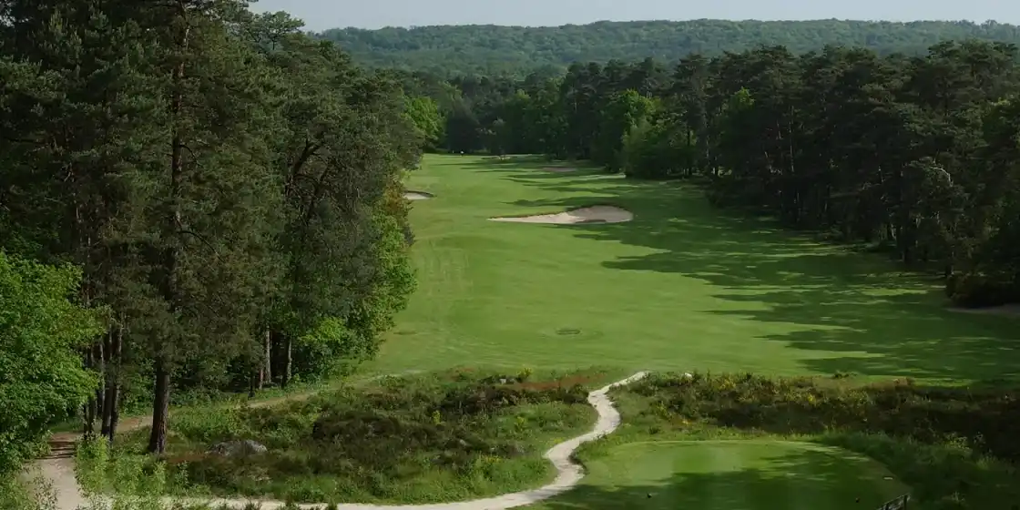 A fairway at Golf de Fontainebleau framed by pine forest, with heather and sand