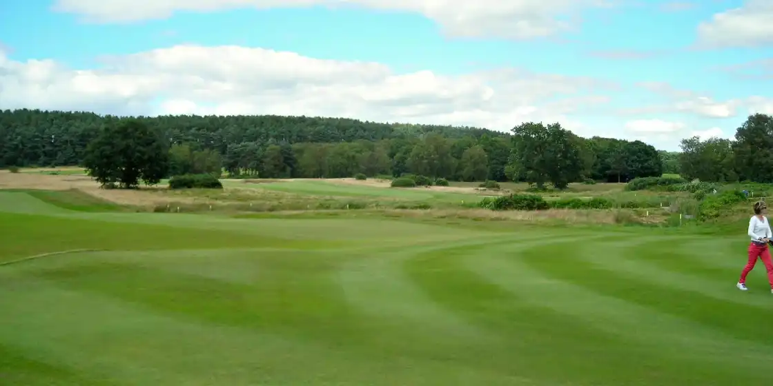 Striped fairway at Notts Golf Club, Hollinwell, with heather rough and pine woods behind
