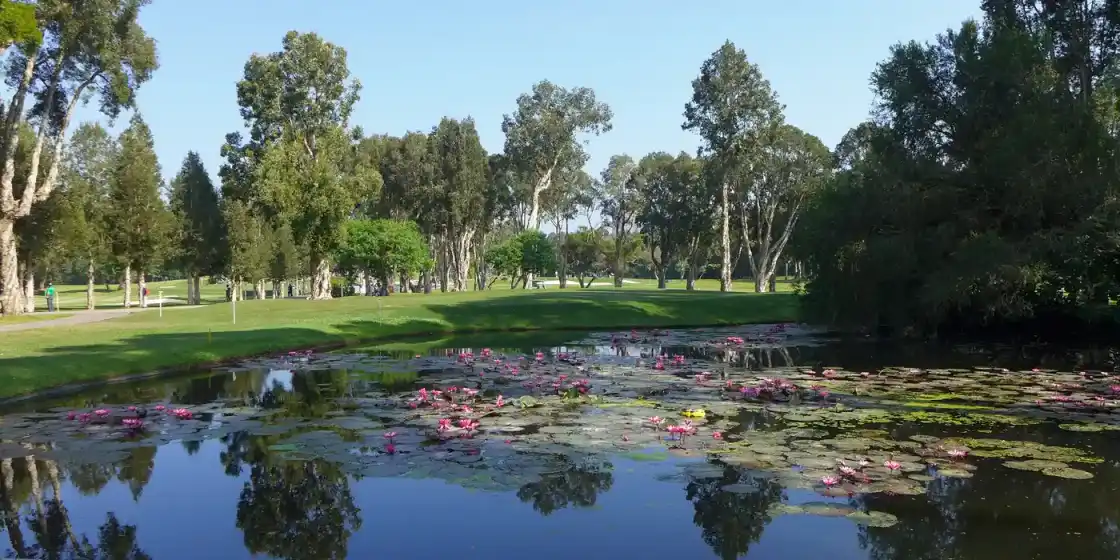 Hong Kong Golf Club Fanling Pond — The Hong Kong Golf Club — Old Course