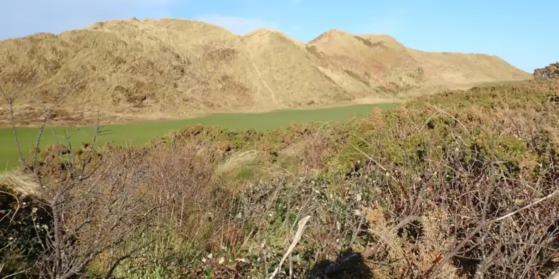 Greens between sand dunes at the Royal County Down Golf Course — Royal County Down Golf Club