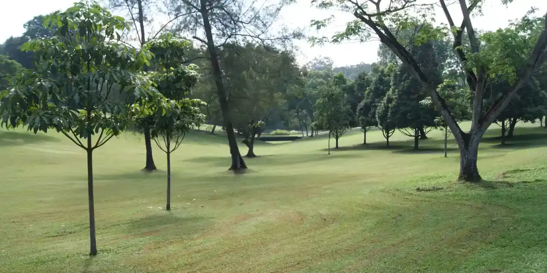 View of the Sime Course, one of the Singapore Island Country Club's golf courses, from Sime Road,...