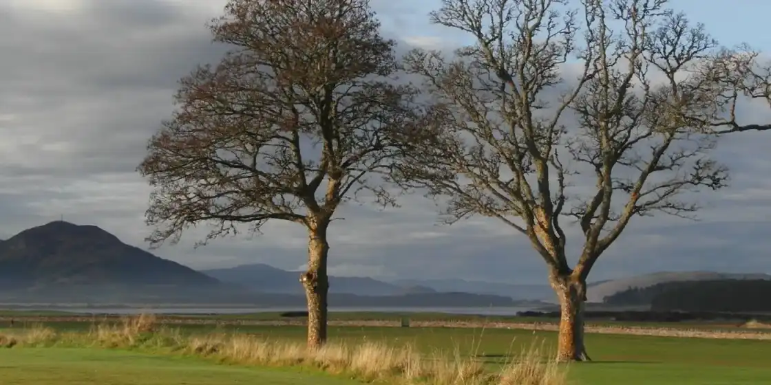 Trees beside a fairway on the Carnegie Links at Skibo, with the Dornoch Firth and hills beyond