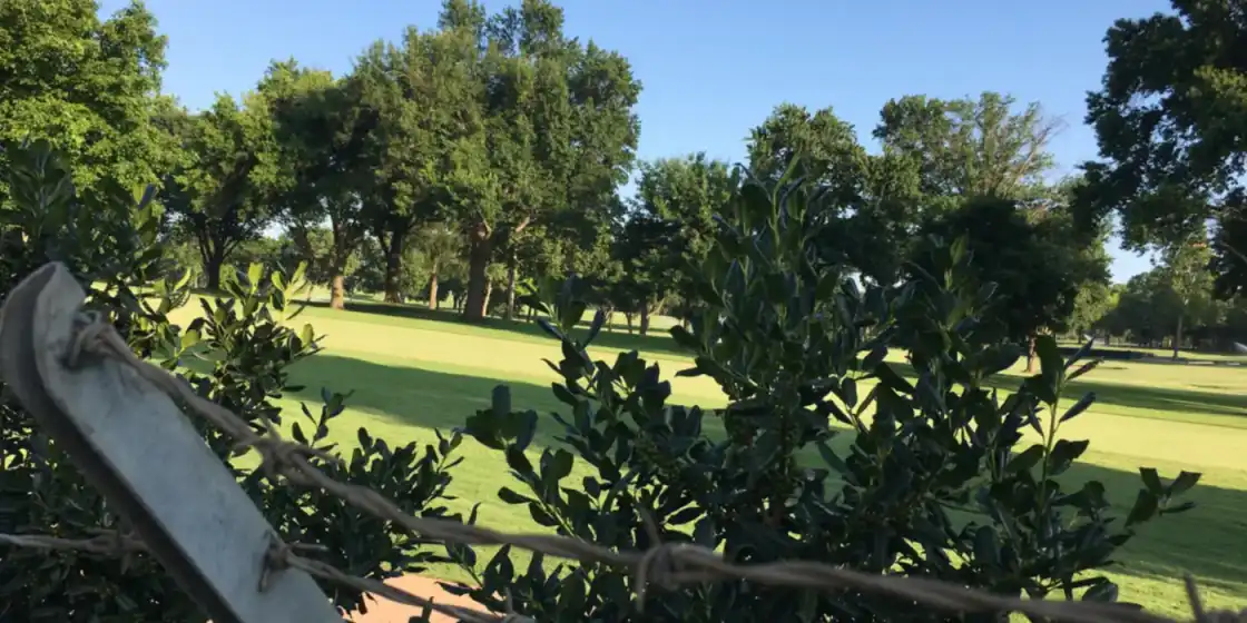 Tree-lined fairway at Southern Hills Country Club in Tulsa, seen from outside the course