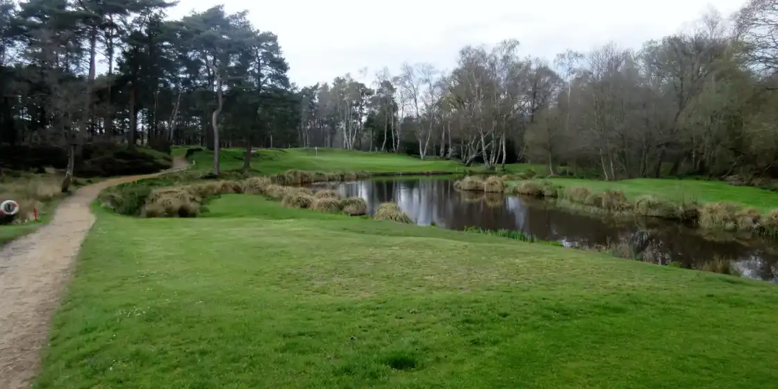 A green beyond a heathland pond at West Sussex Golf Club, framed by pine and birch